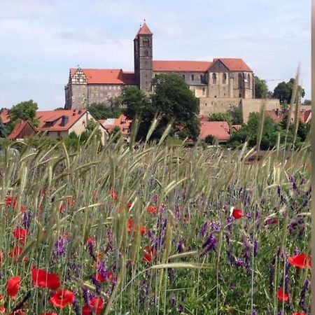 Ferienhaus Harzvorland Ballenstedt Kültér fotó